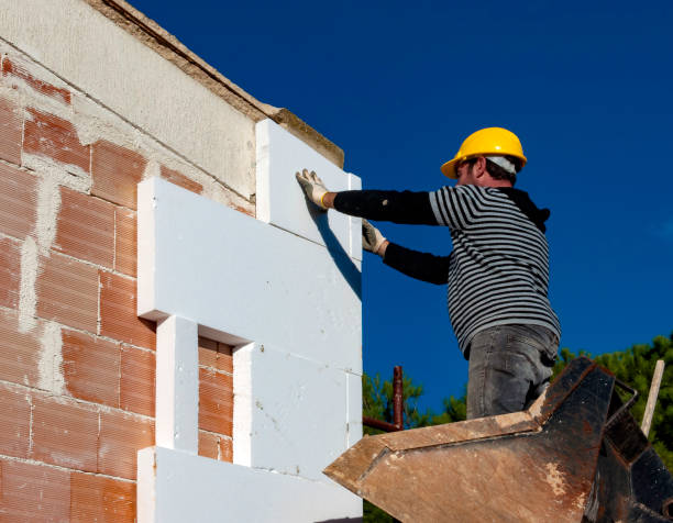Best Cellulose Insulation  in Churchill, OH