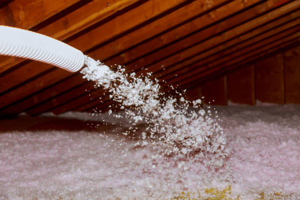 Best Attic Insulation Installation  in Churchill, OH